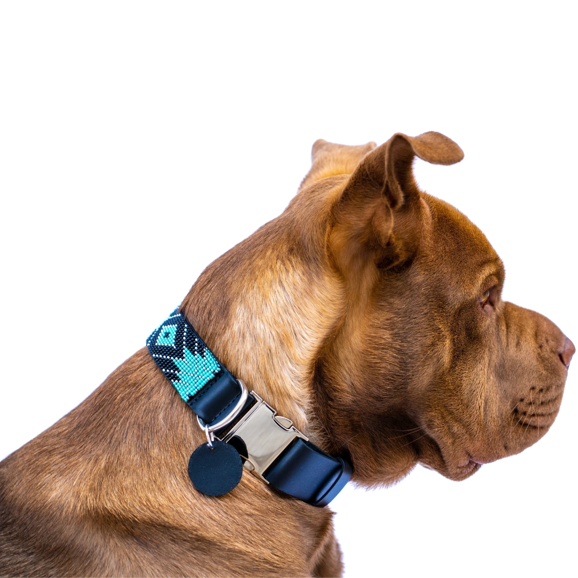 Saint Barth dog collar (quick release)