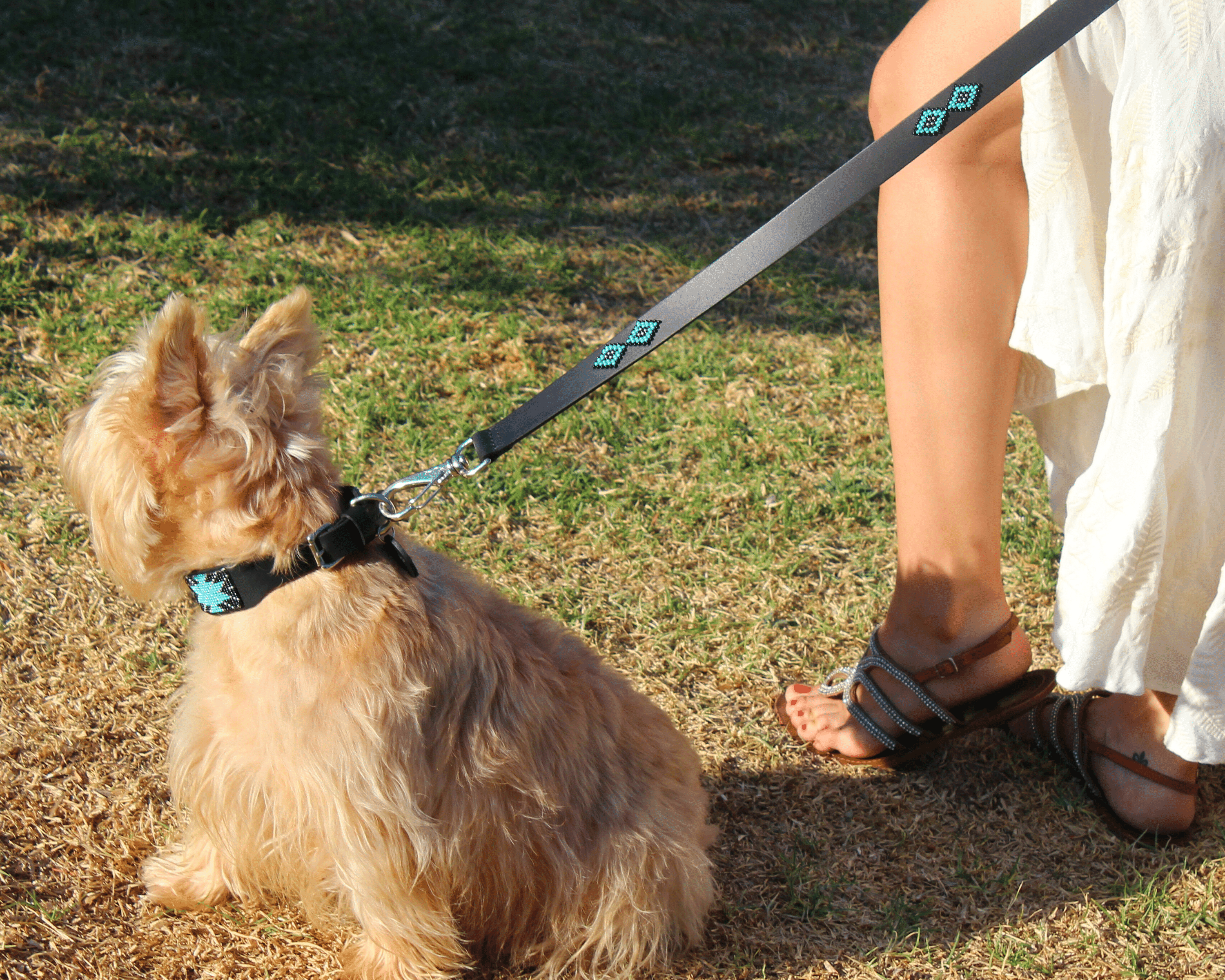 Matching leash/dog collar Saint Barth Sambboho Bundle