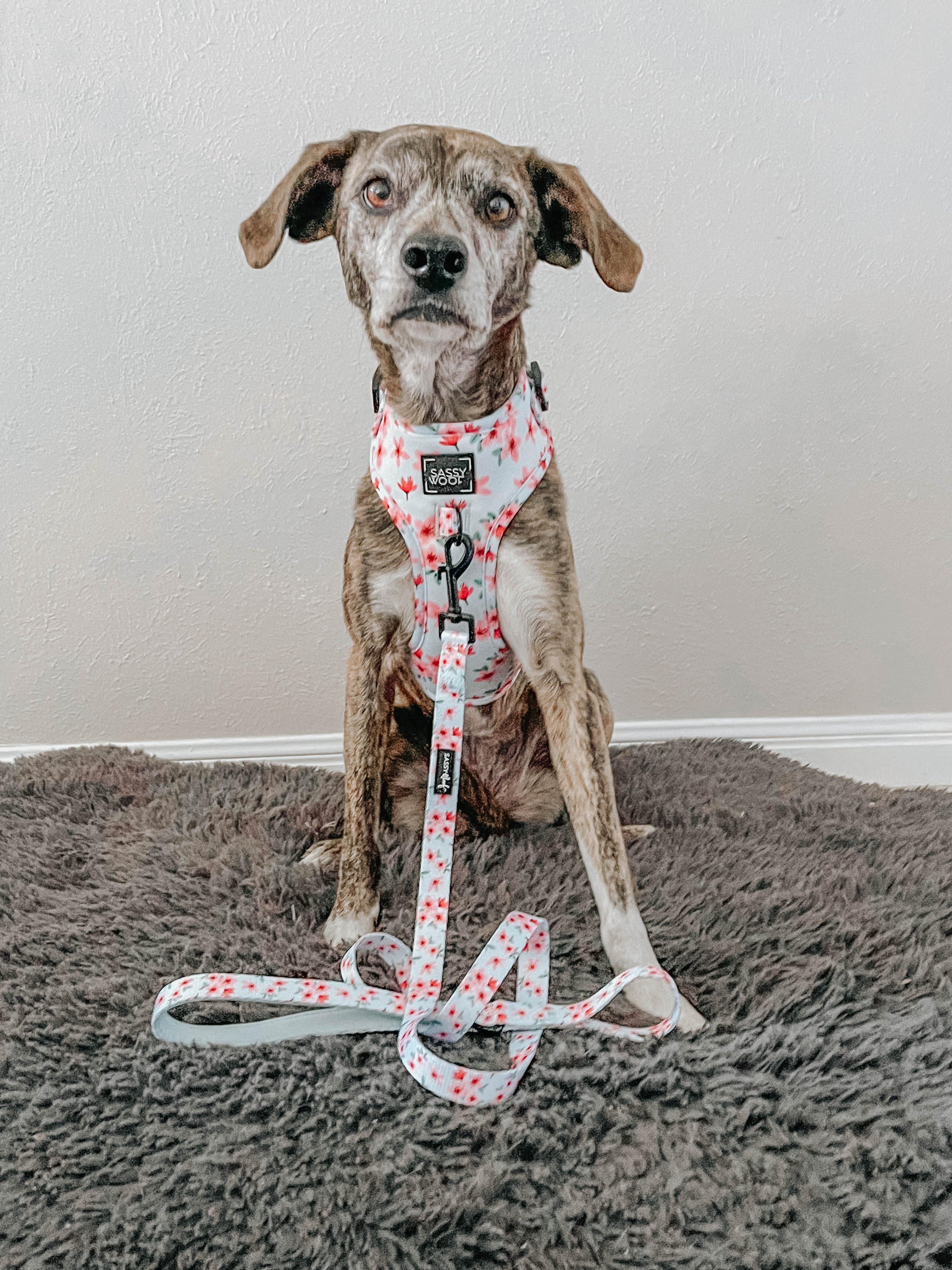 Dog Adjustable Harness - Sakura