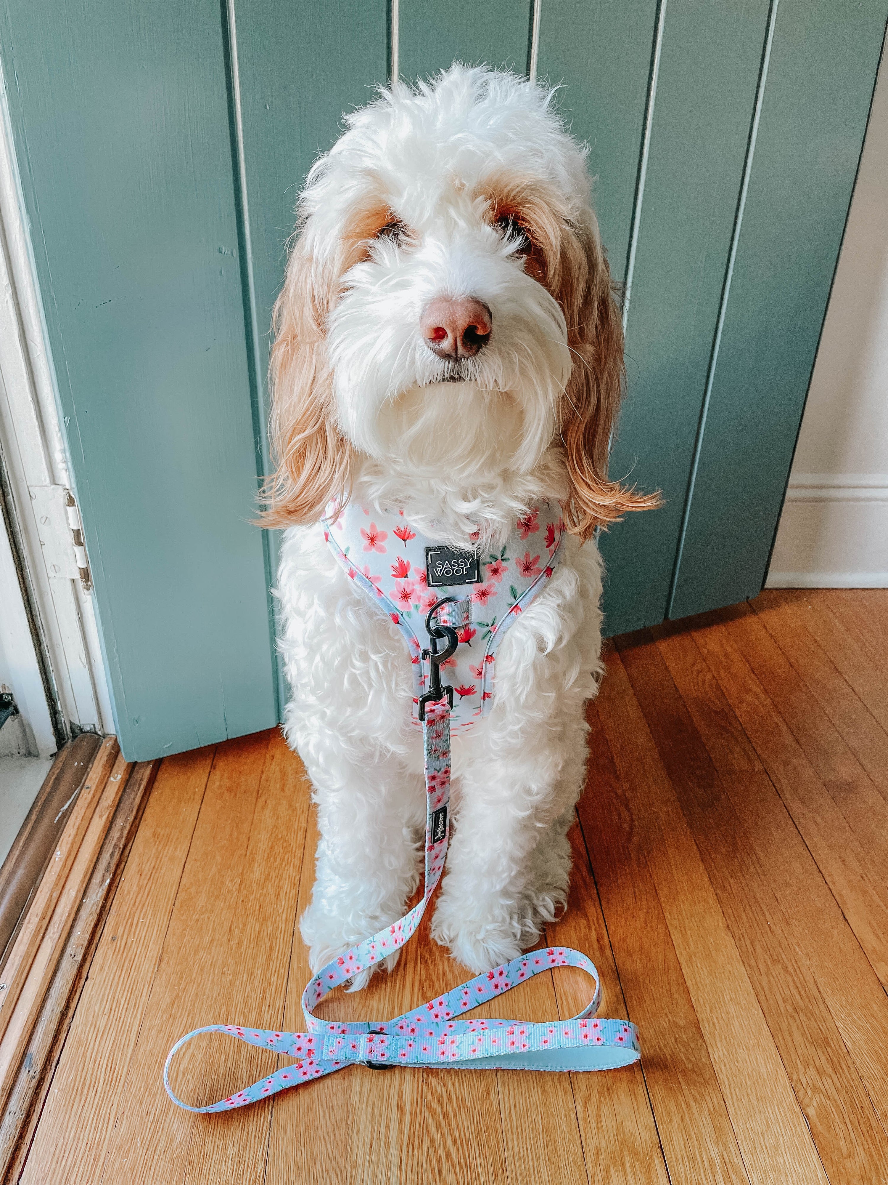 Dog Adjustable Harness - Sakura