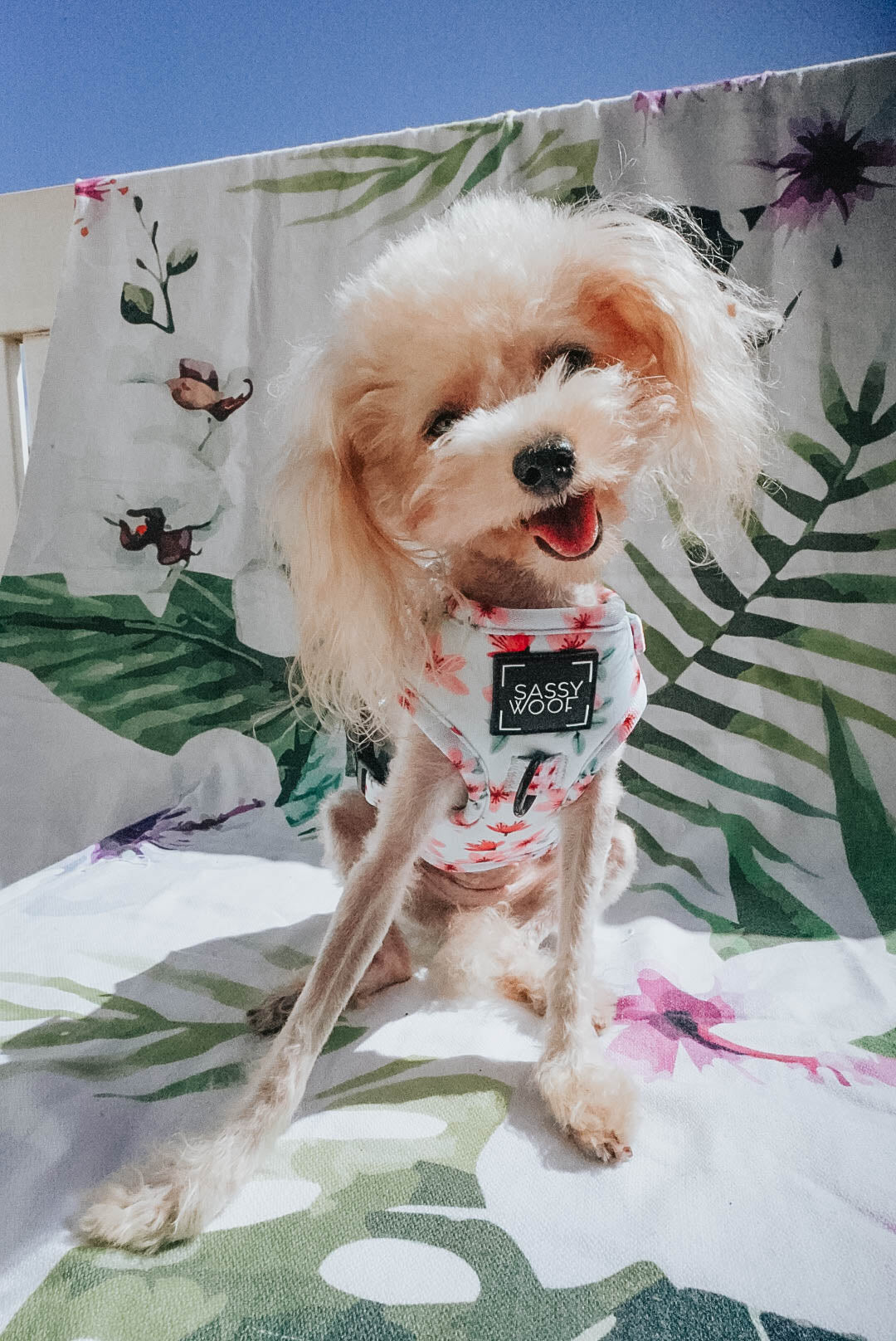 Dog Adjustable Harness - Sakura