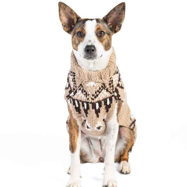 Chilly Dog Sandy Cable Knit Wool Dog Sweater