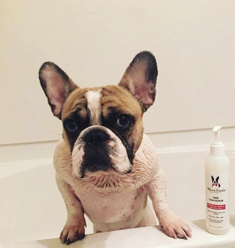 Paw Sani-Scrub - Paw and Nail Cleanser