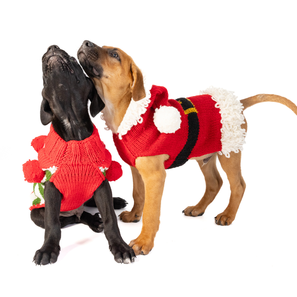 Chilly Dog Santa Wool Dog Sweater