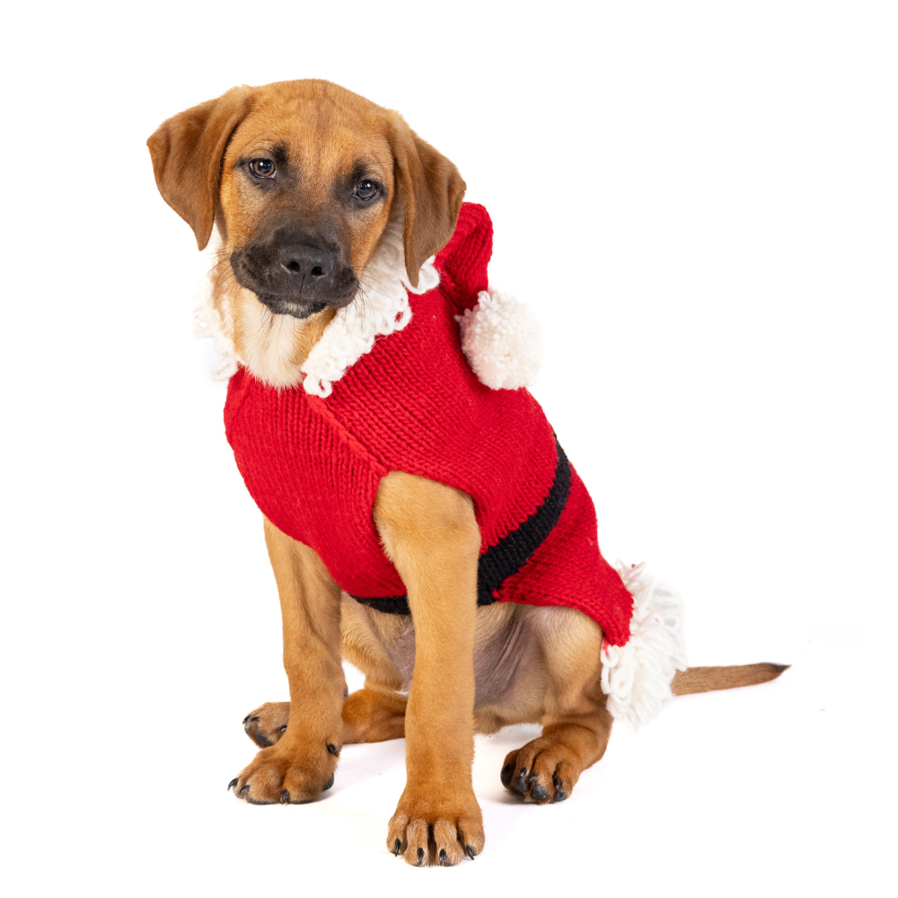 Chilly Dog Santa Wool Dog Sweater