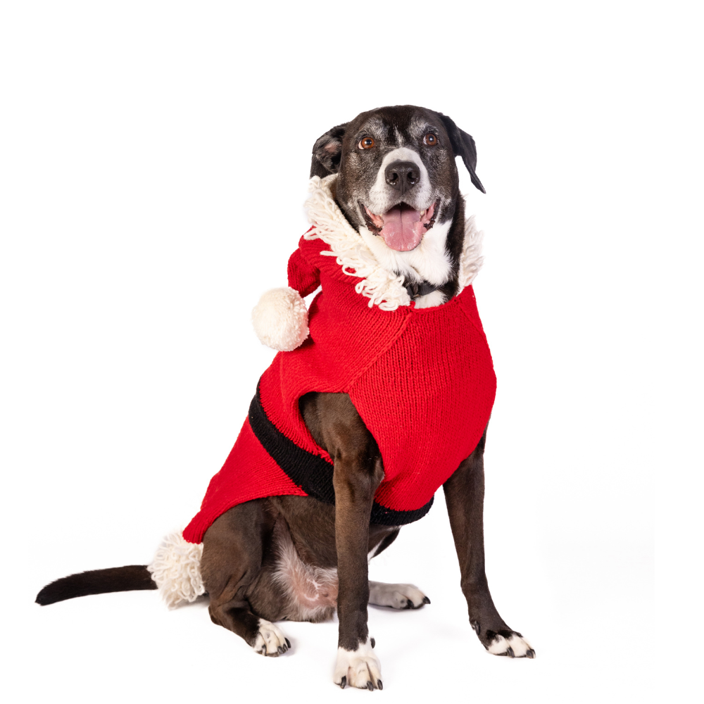 Chilly Dog Santa Wool Dog Sweater