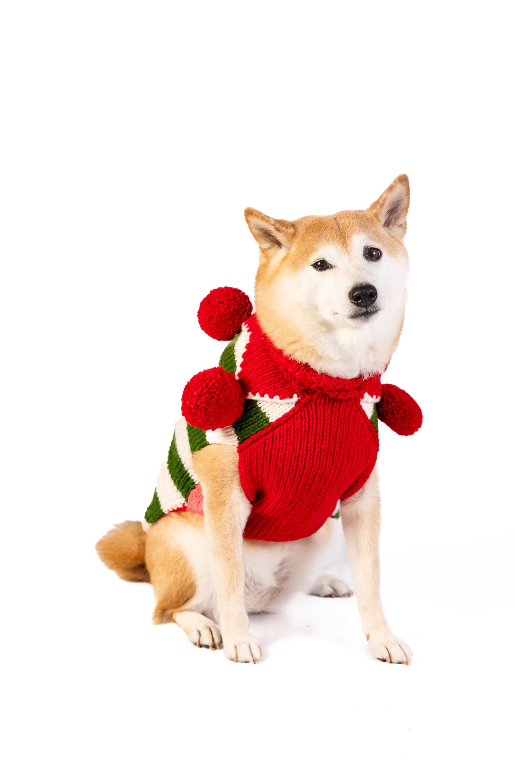 Christmas Elf Holiday Dog Sweater