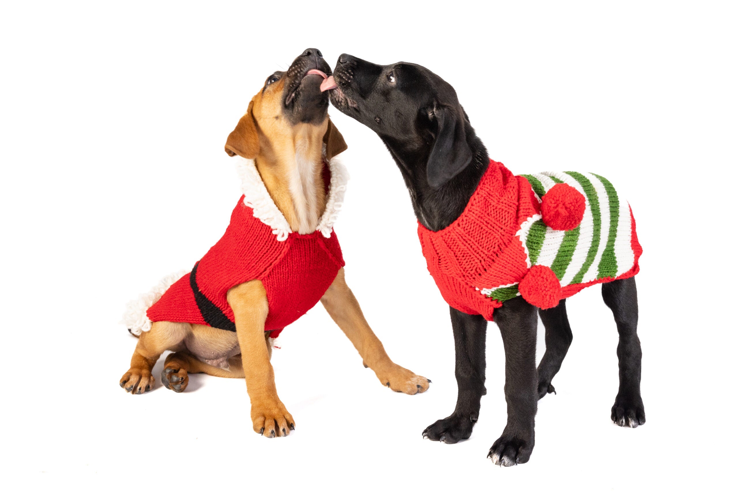 Christmas Elf Holiday Dog Sweater
