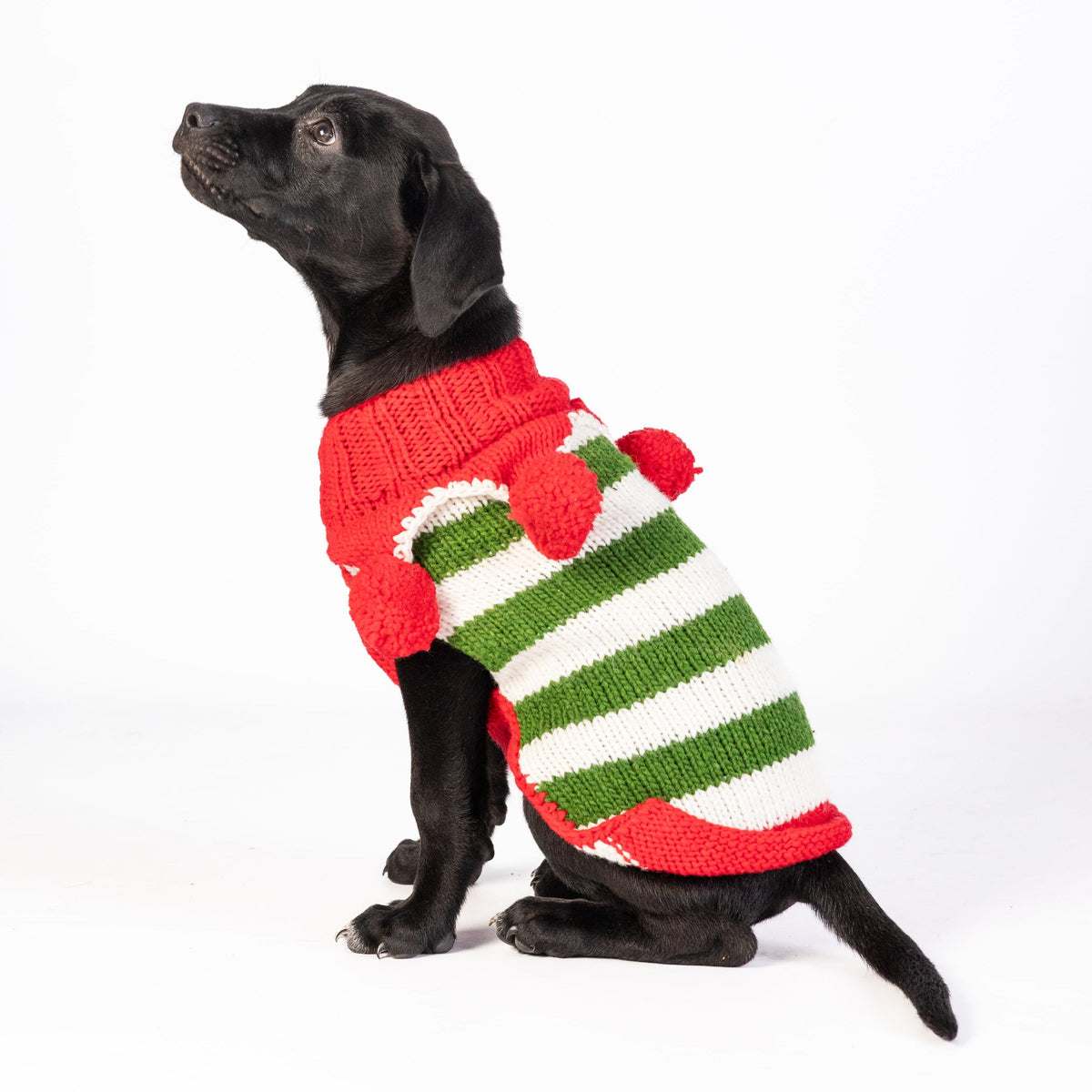 Chilly Dog Christmas Elf Holiday Wool Dog Sweater