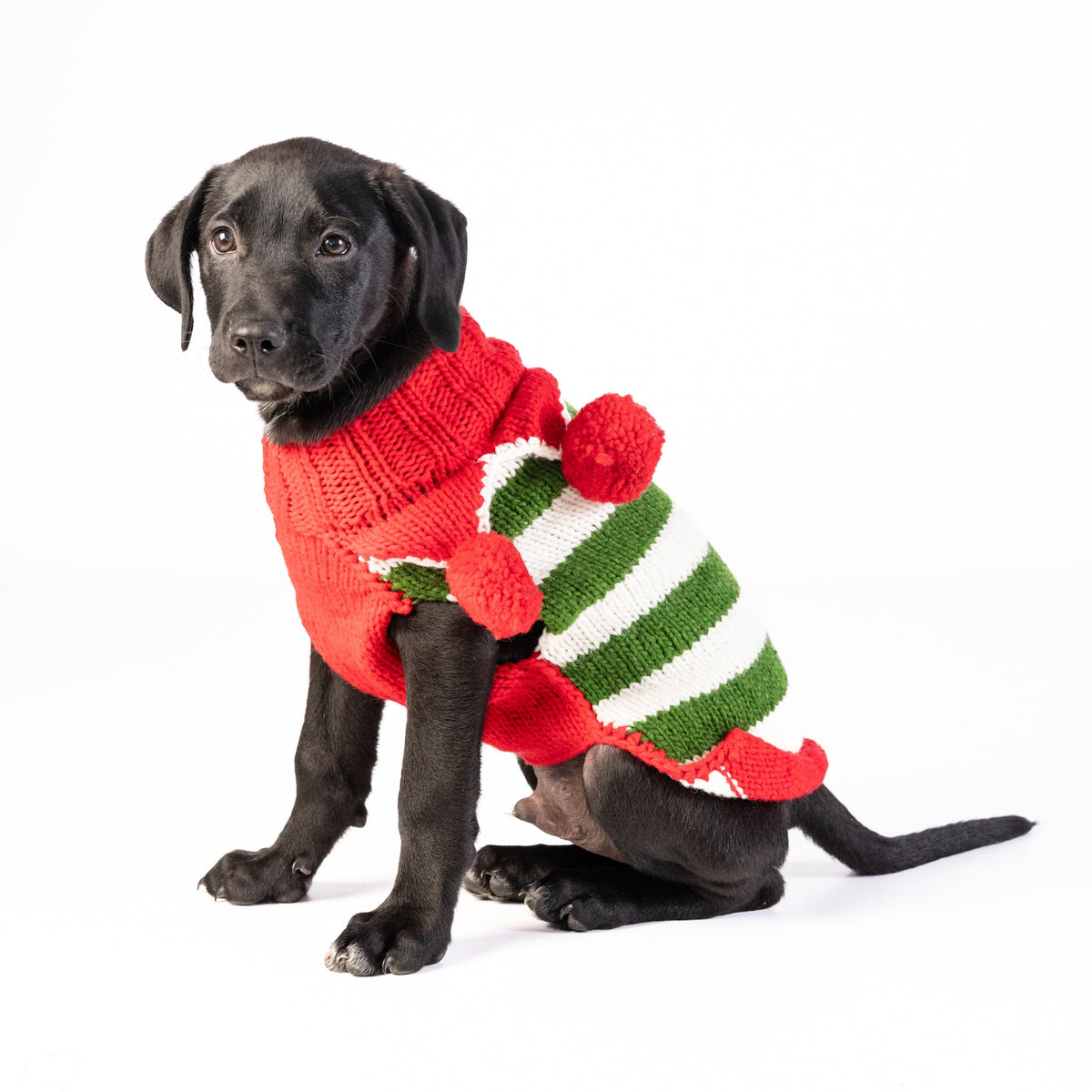 Chilly Dog Christmas Elf Holiday Wool Dog Sweater