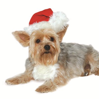 DOGO Santa Dog Costume Hat