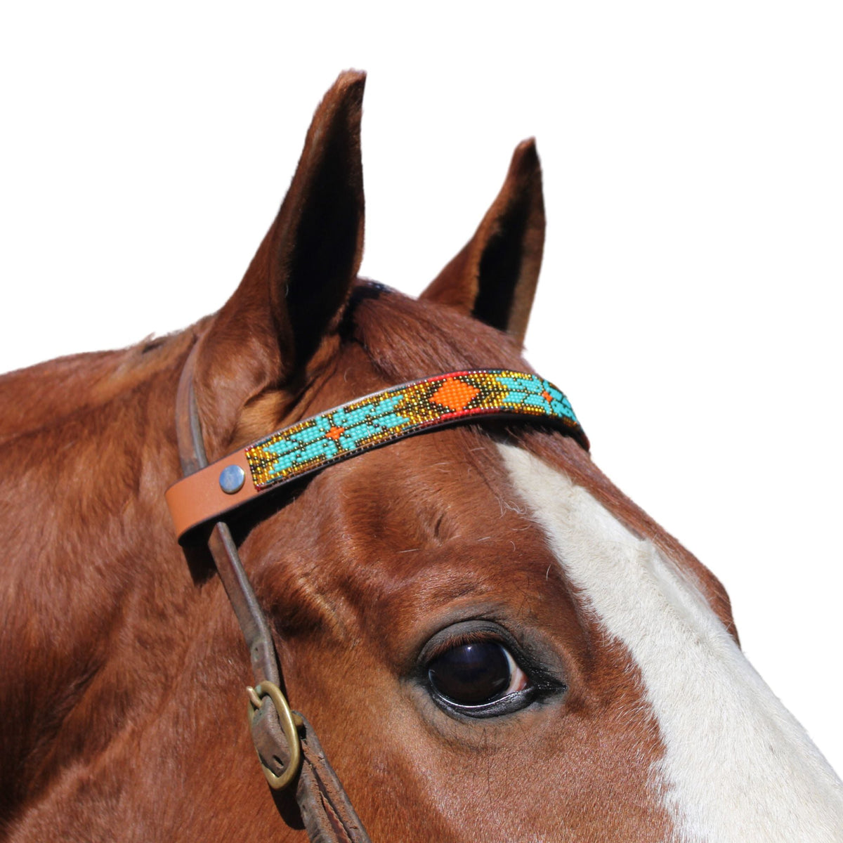 Sardinia Sambboho Horse Browband