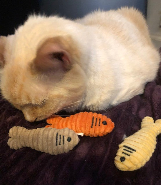 HuggleKats Sardinies Cat Toys, 3 Pack