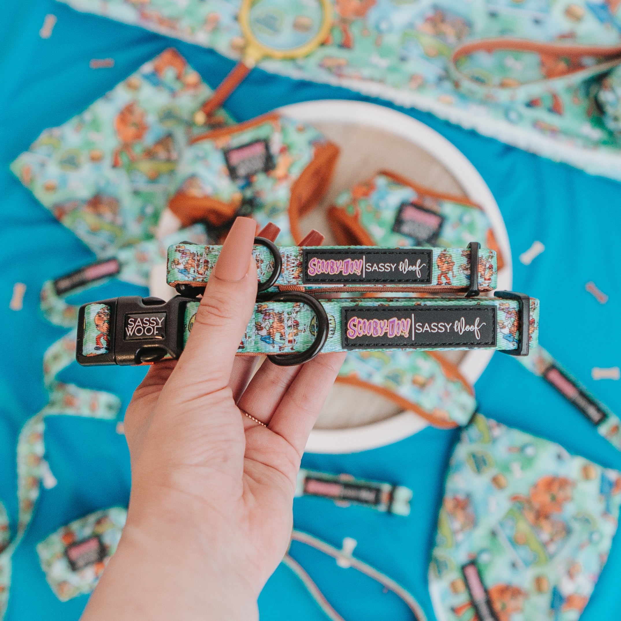 Dog Collar - Scooby-Doo™