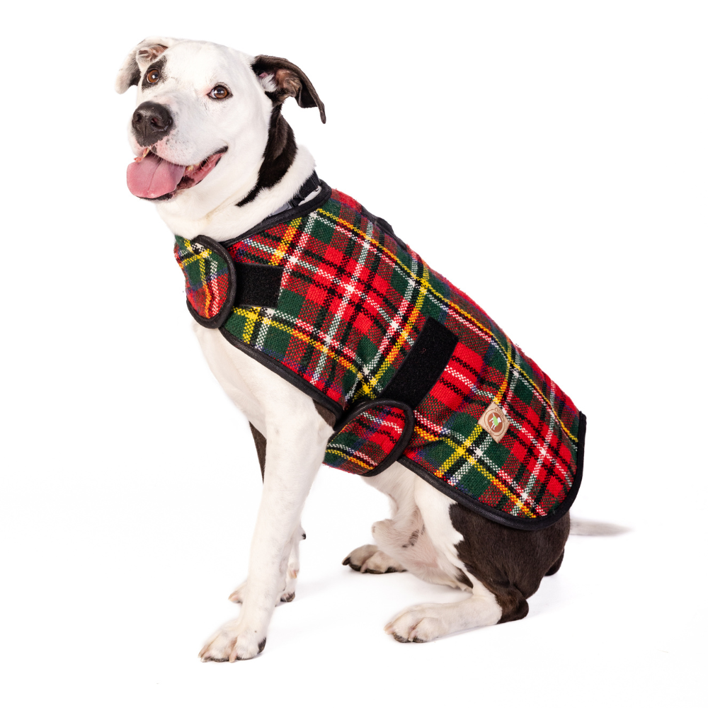 Chilly Dog Scotty Plaid Fleece-Lined Wool Dog Coat