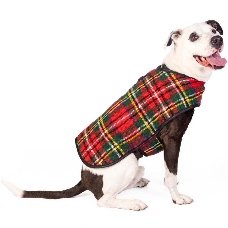 Chilly Dog Scotty Plaid Wool Blanket Dog Coat