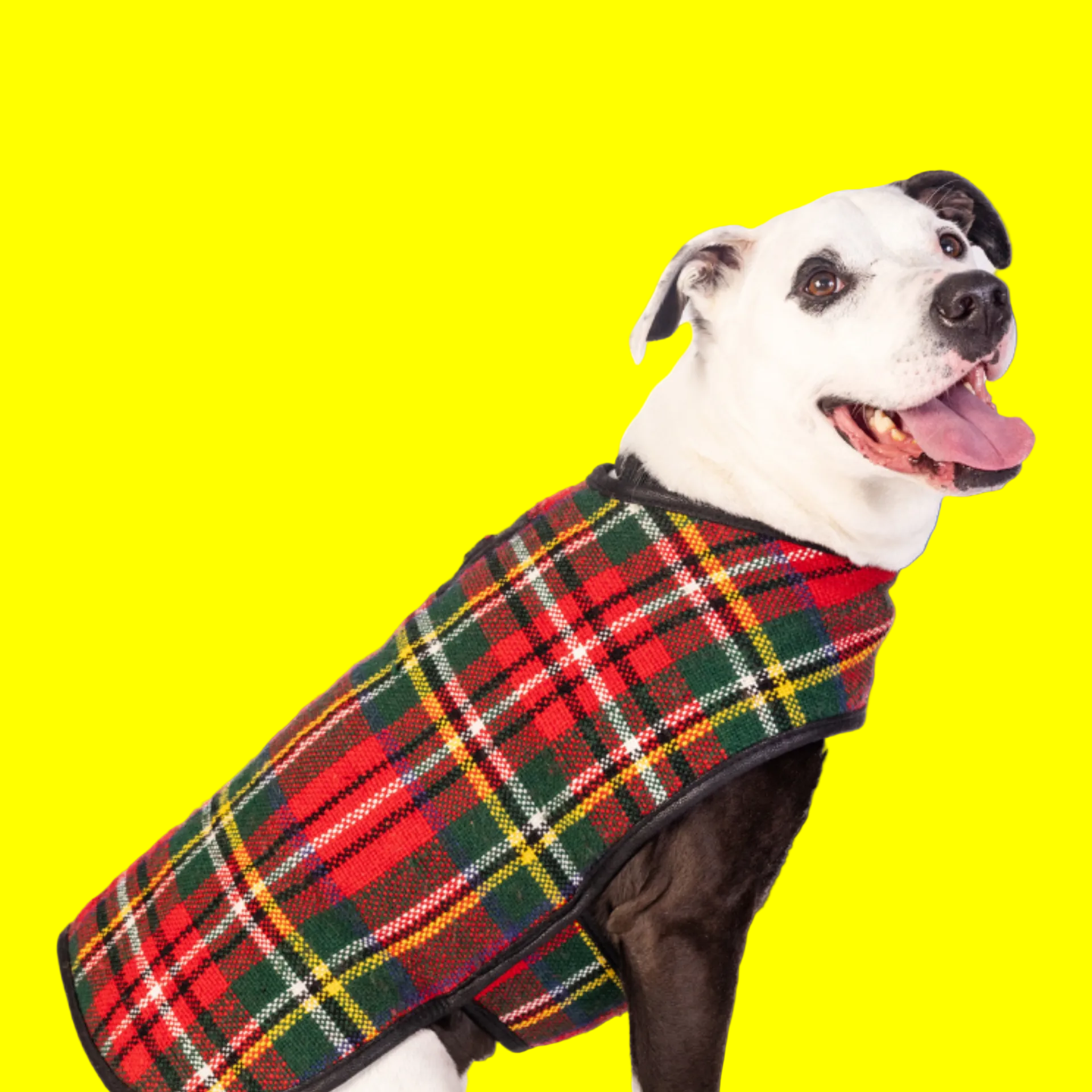 Chilly Dog Scotty Plaid Fleece-Lined Wool Dog Coat