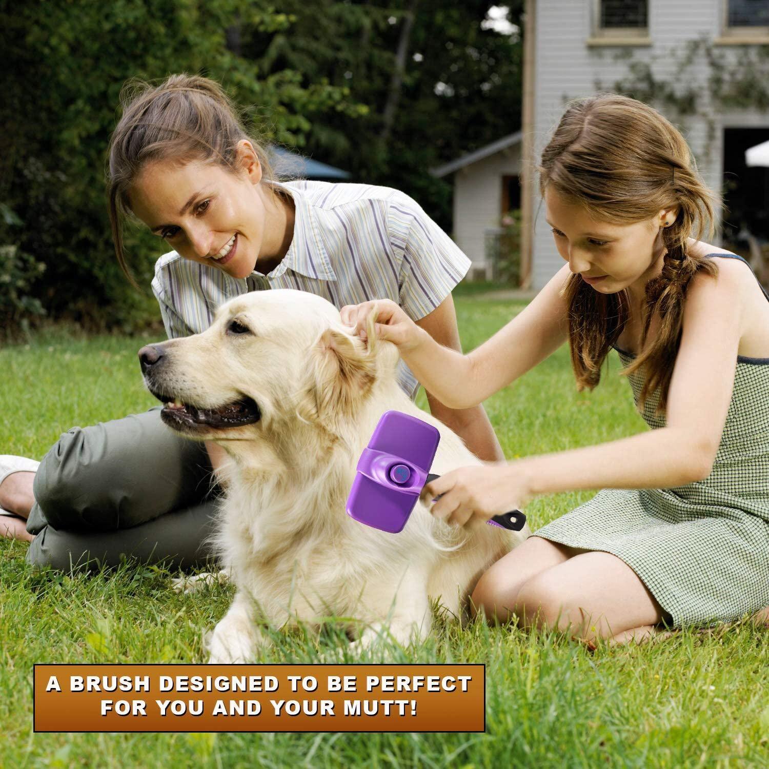 Self Cleaning Grooming Brush