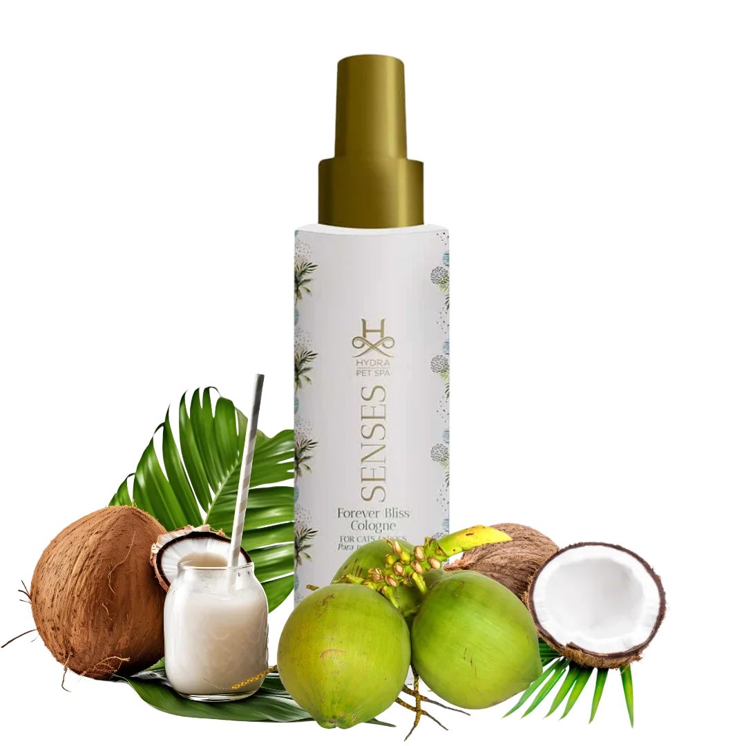 Senses Bliss Cologne by Hydra