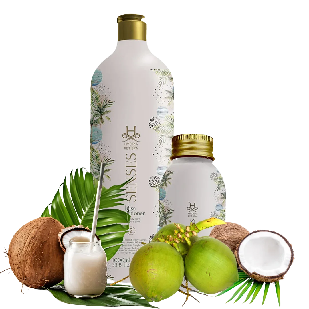 Senses Bliss Conditioner and Booster by Hydra