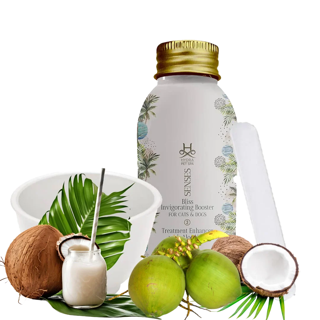 Senses Bliss Fortifying Conditioner Booster and Mixing Bowl by Hydra