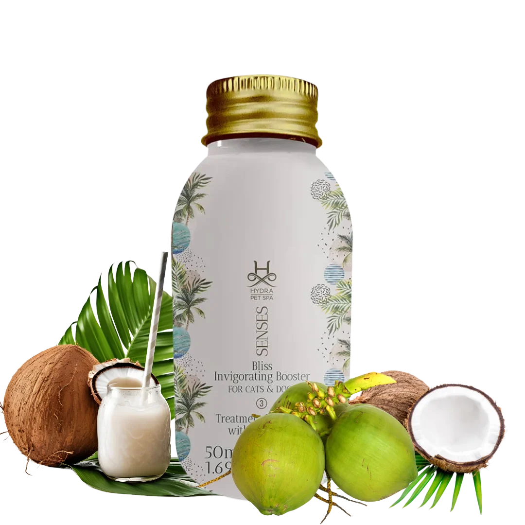 Senses Bliss Fortifying Conditioner Booster by Hydra