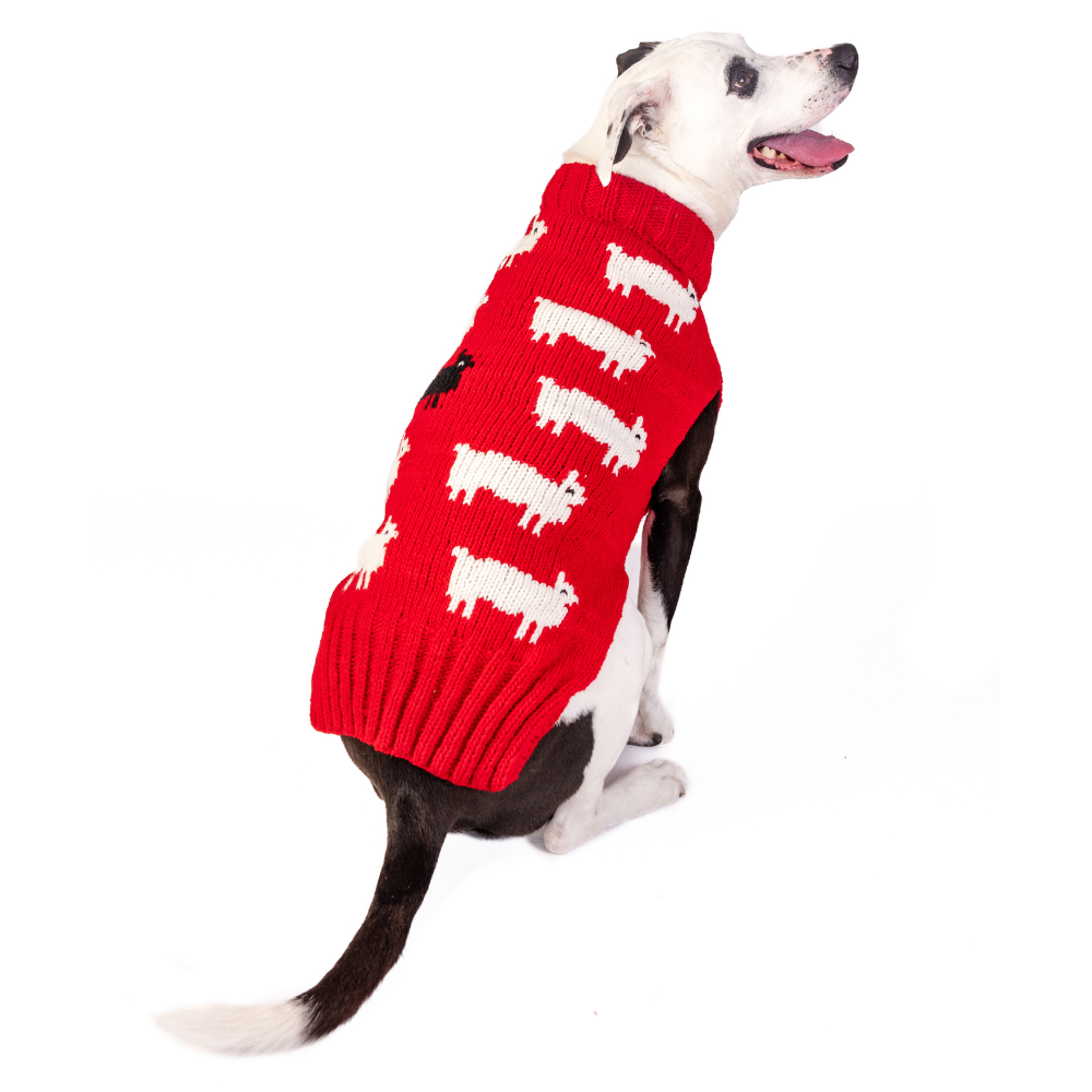 Chilly Dog Black Sheep Wool Dog Sweater