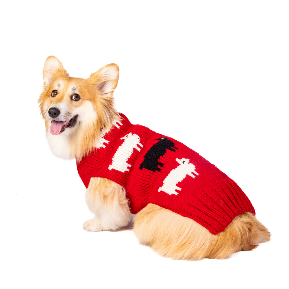 Chilly Dog Black Sheep Wool Dog Sweater