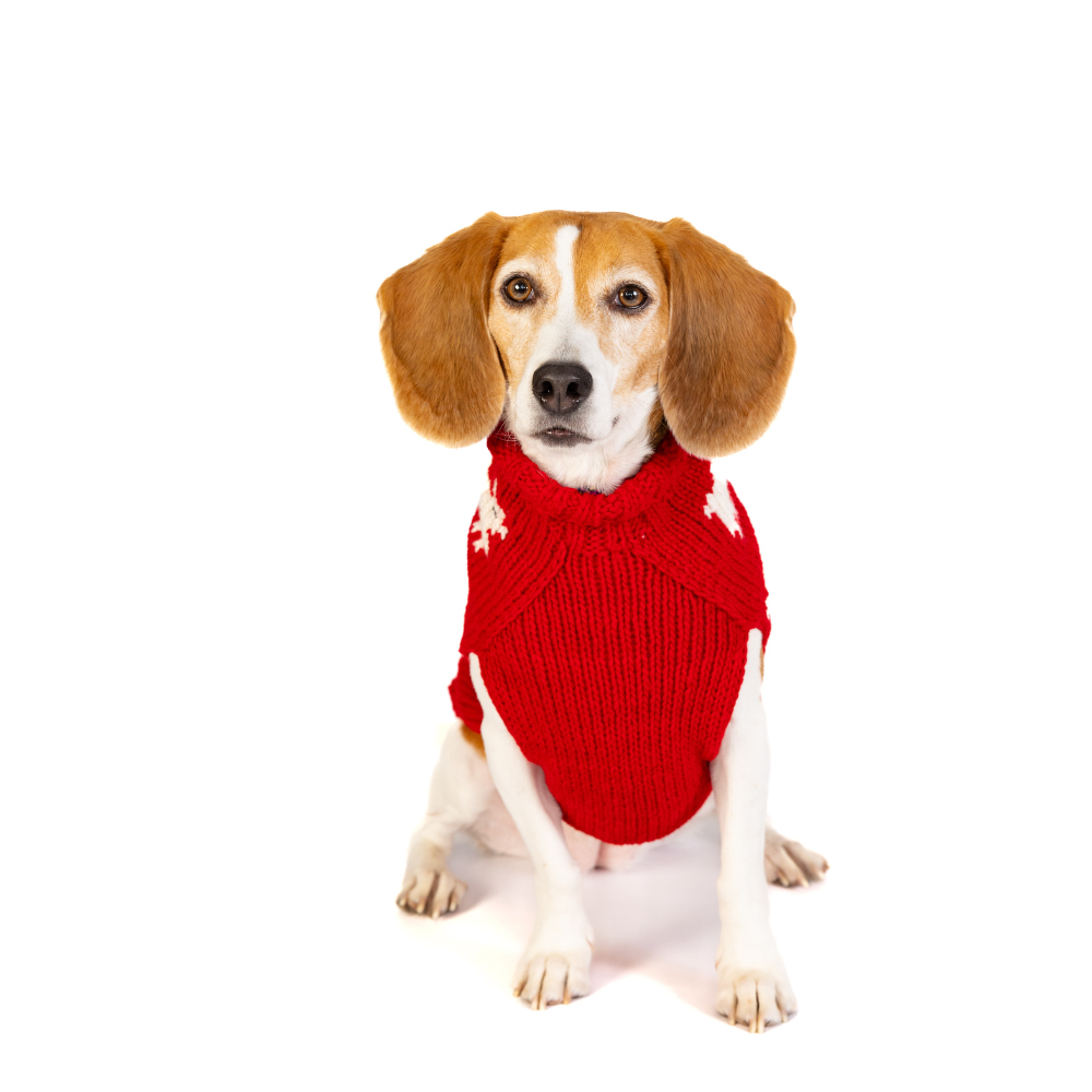 Chilly Dog Black Sheep Wool Dog Sweater
