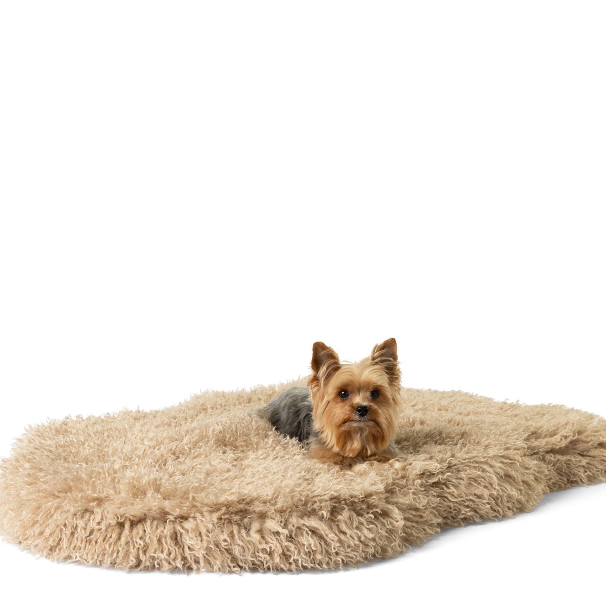 PupRug Luxe Faux Fur Orthopedic Dog Bed Plush Sheep Tan