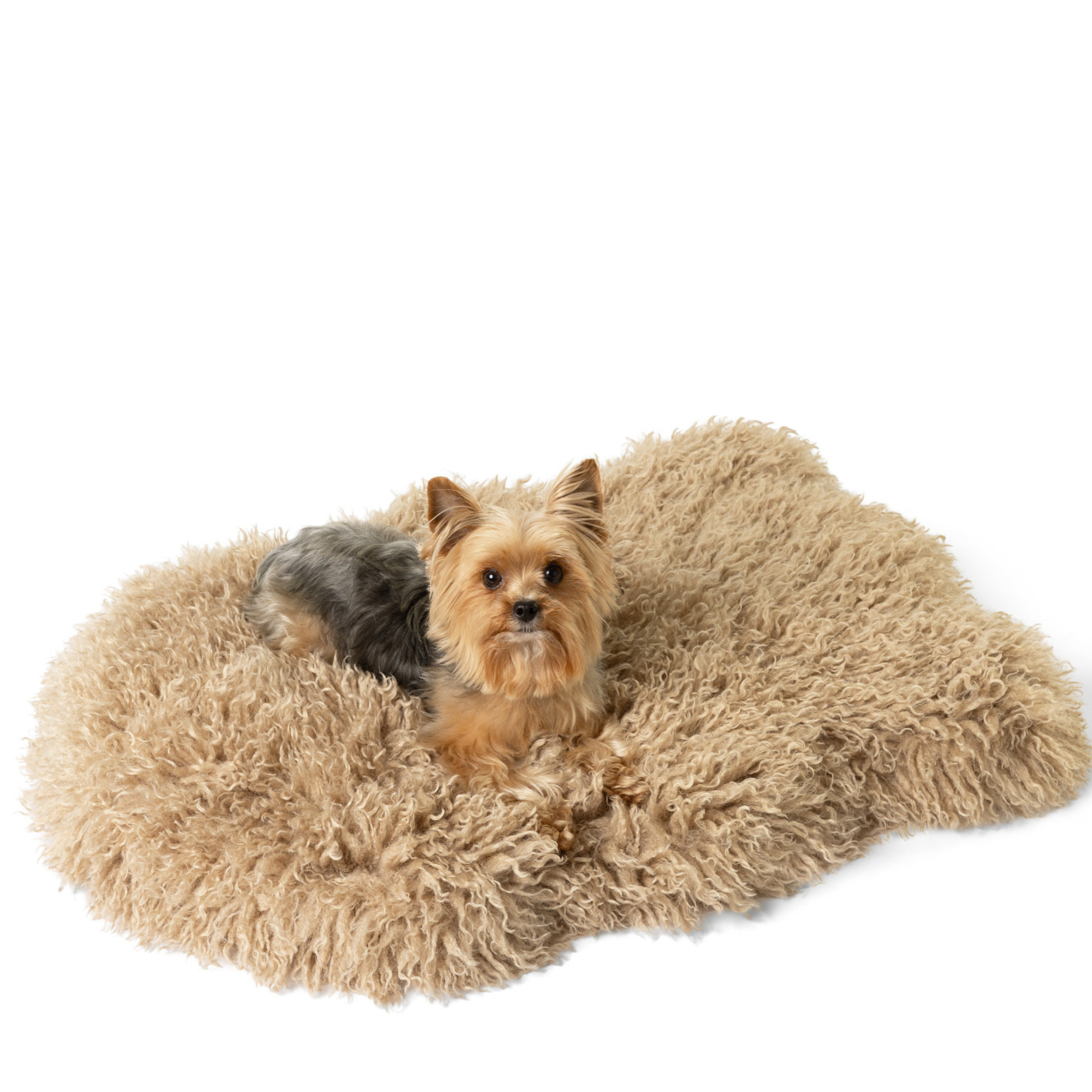PupRug Luxe Faux Fur Orthopedic Dog Bed Plush Sheep Tan 