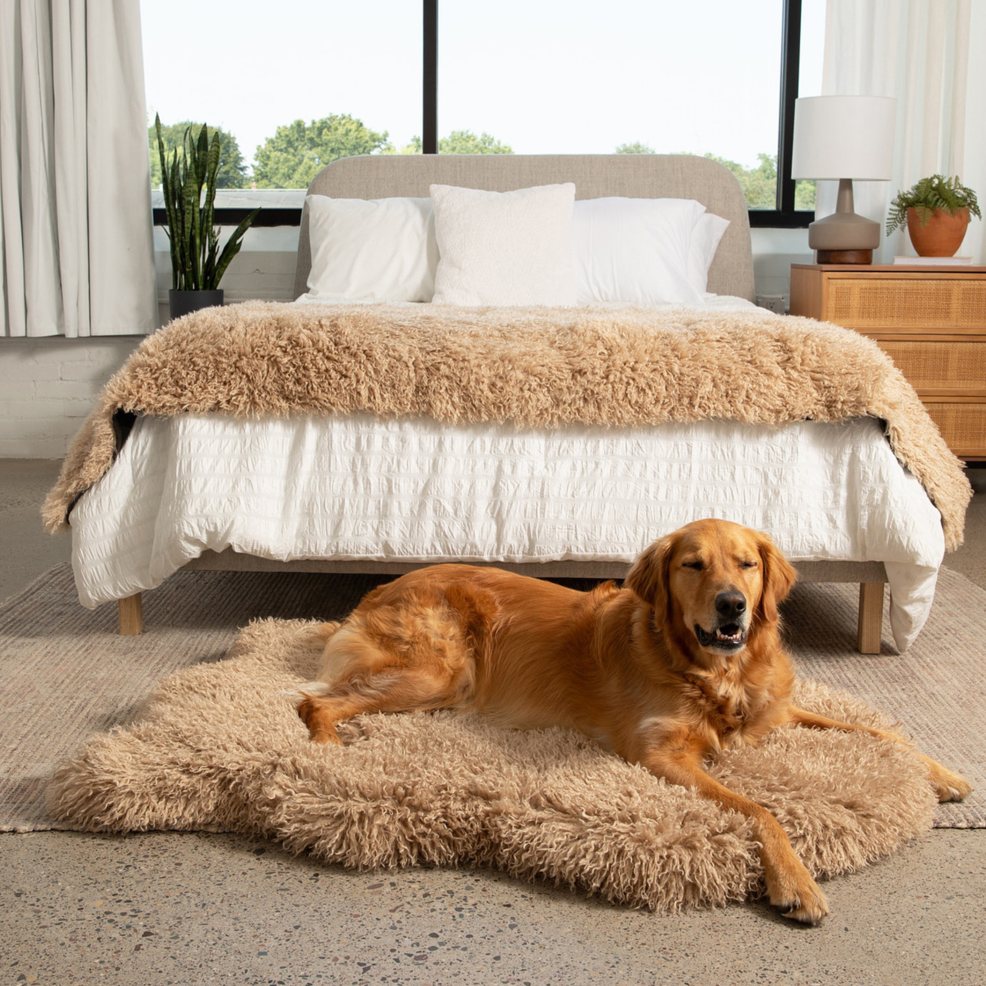 PupRug Luxe Faux Fur Orthopedic Dog Bed Plush Sheep Tan 