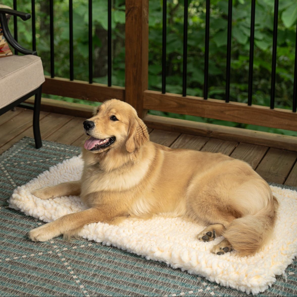 Sherpa Comfort Cushion premium pet product