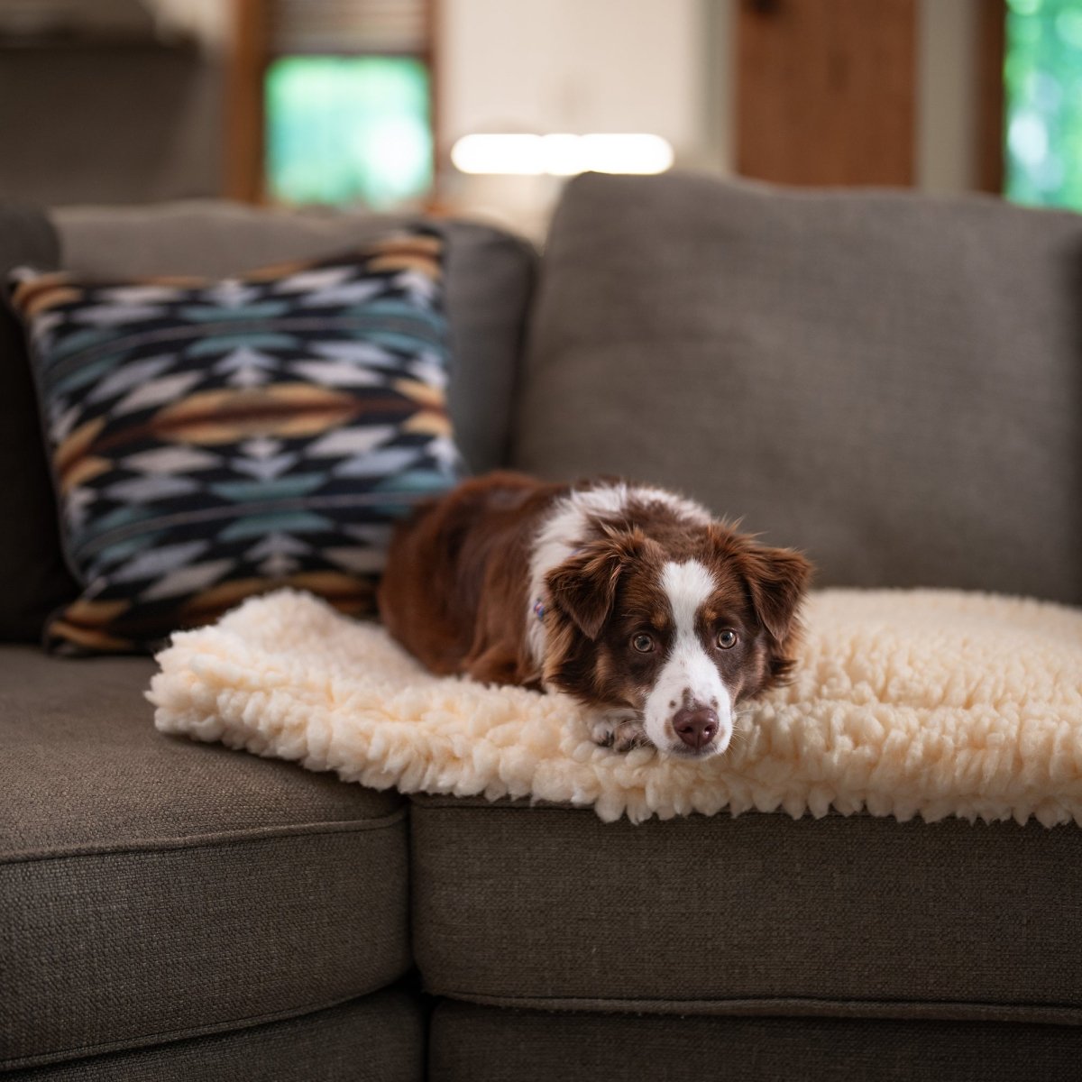 Sherpa Comfort Cushion premium pet product