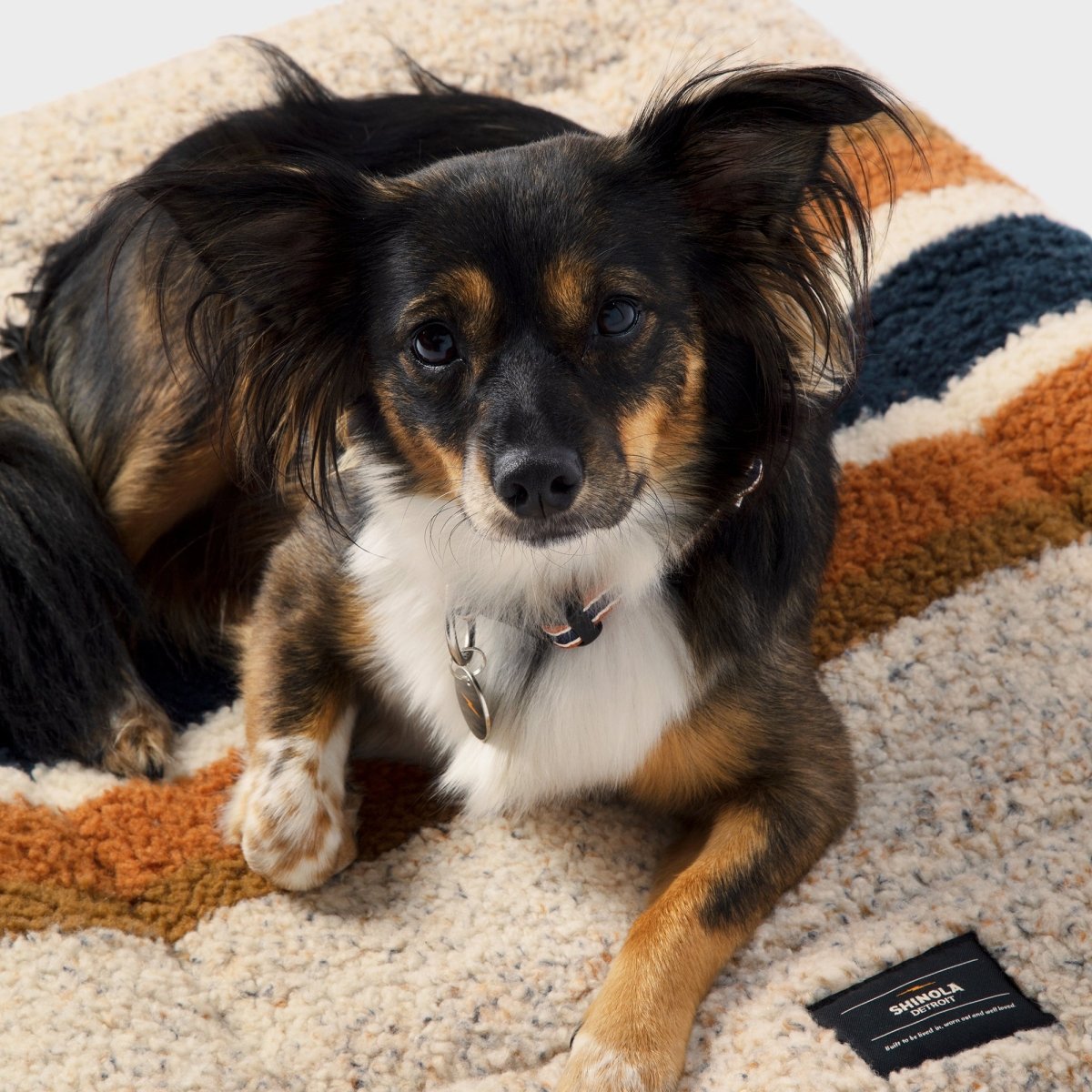Shinola Brand Stripe Comfort Cushion Berber Dog Bed Oatmeal premium pet product