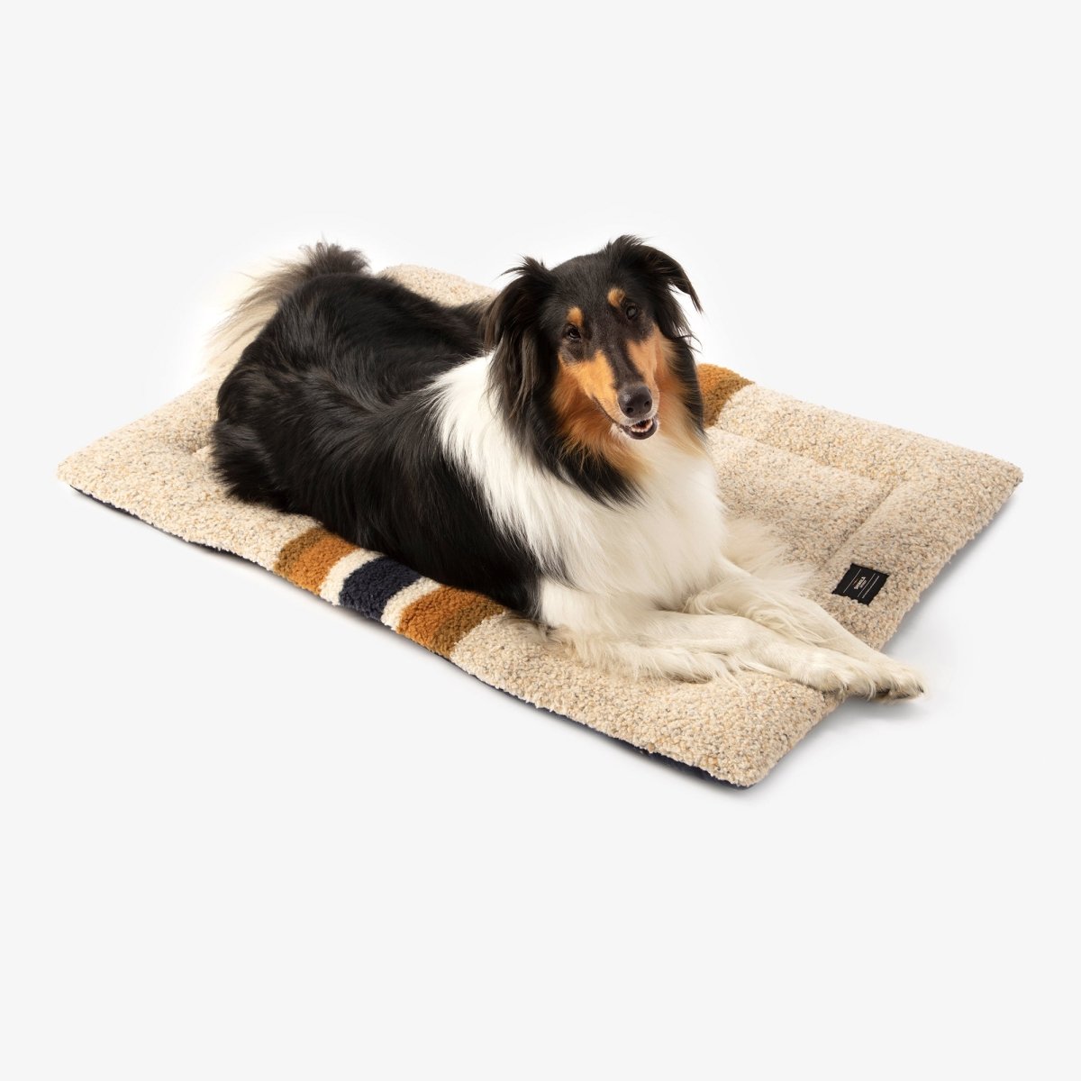 Shinola Brand Stripe Comfort Cushion Berber Dog Bed Oatmeal
