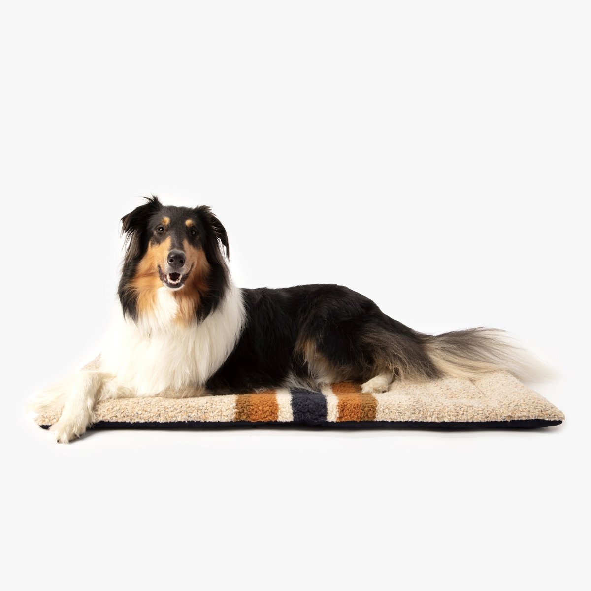 Shinola Brand Stripe Comfort Cushion Berber Dog Bed Oatmeal premium pet product