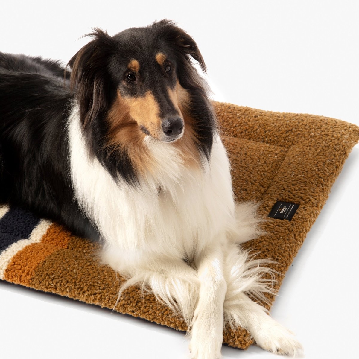 Shinola Brand Stripe Comfort Cushion Berber Dog Bed Rust premium pet product