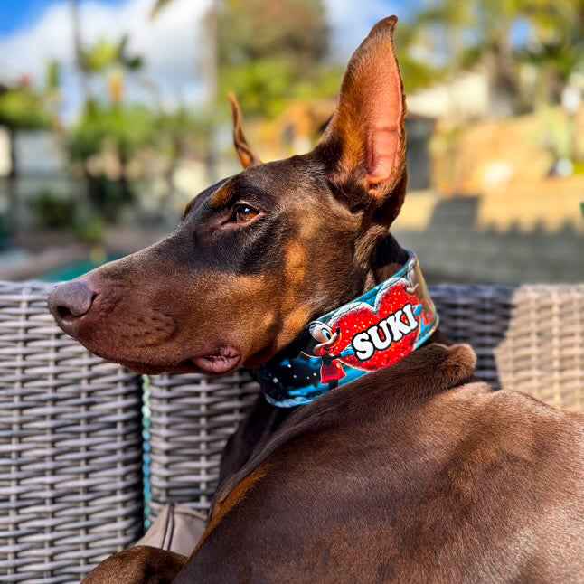 Bestia Mickey Limited Edition Dog Collar & Bracelet Set