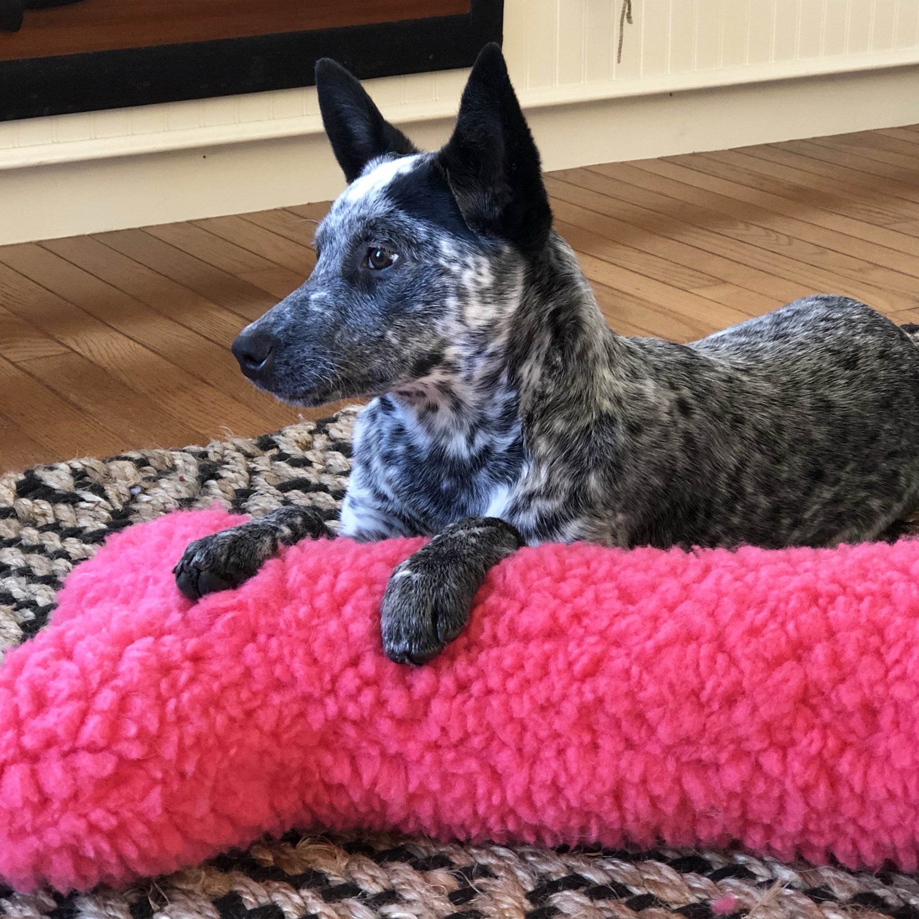 HuggleCauseTM, Living Beyond Breast Cancer, HuggleFleece Pink Bones