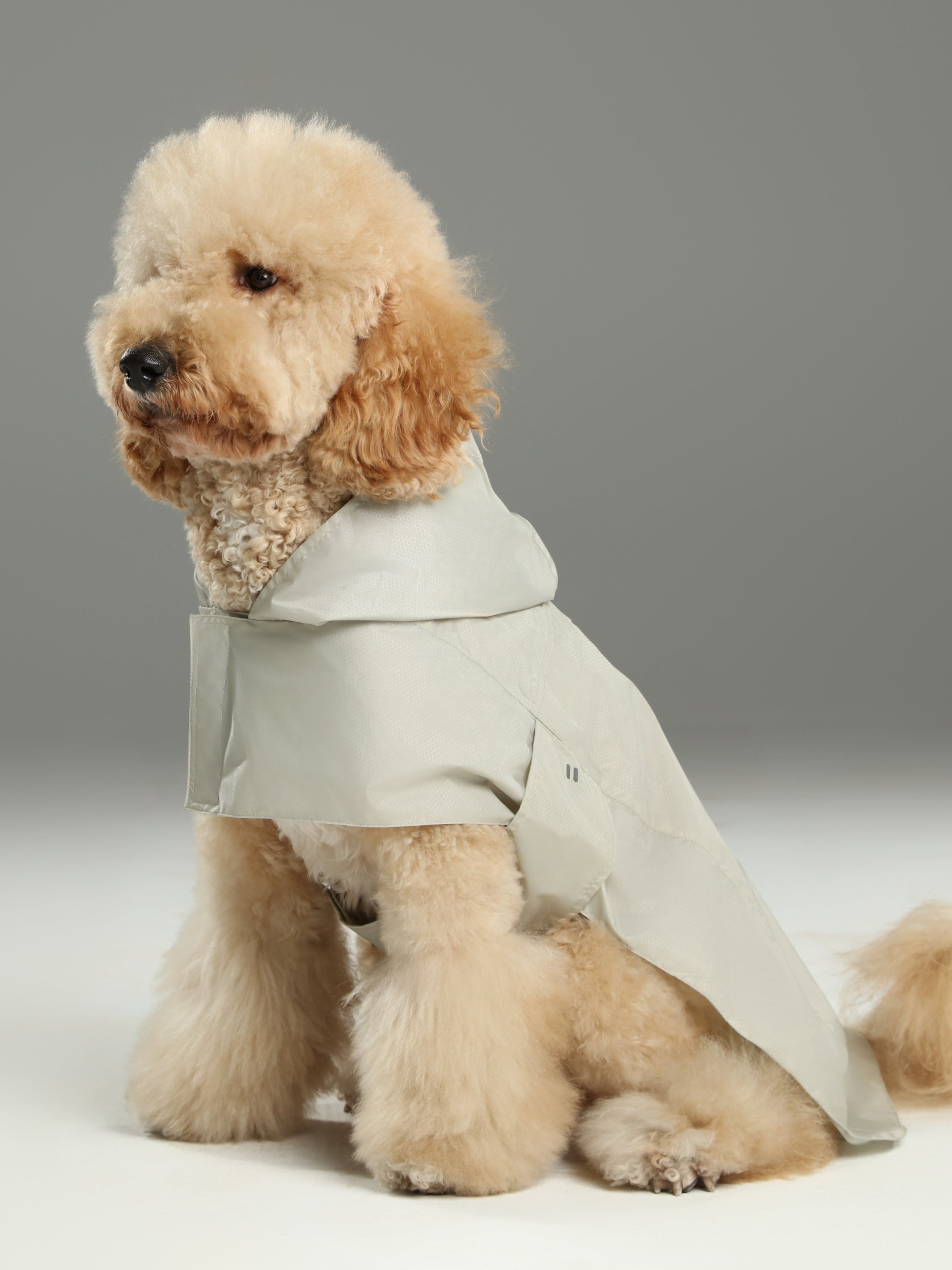 Capsule Raincoat-Beige