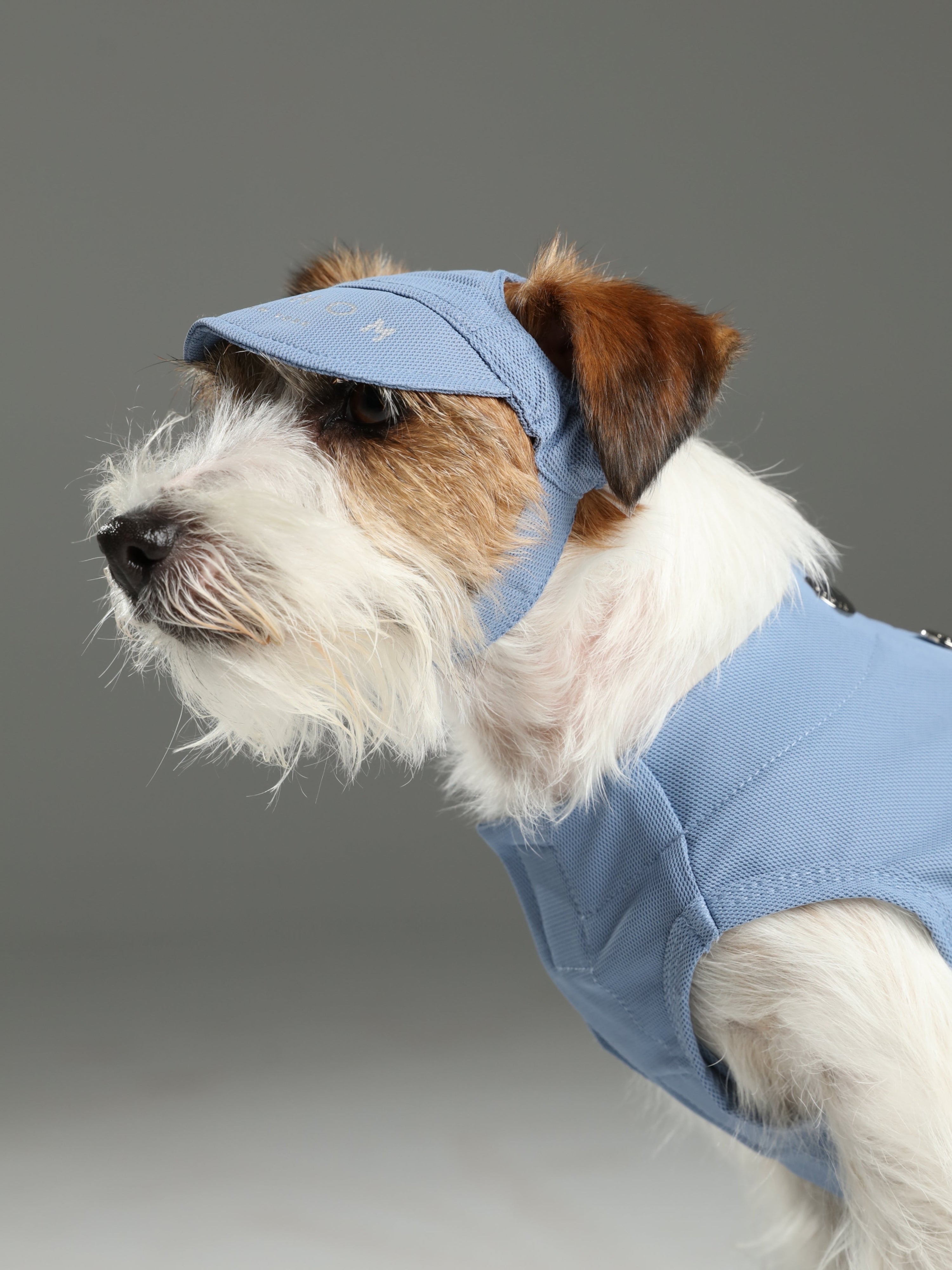 Tennis Hat-Blue