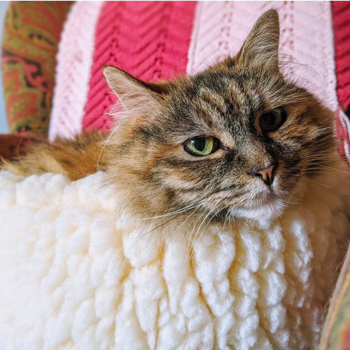 HuggleFleece HuggleSnugglerTM Cat & Dog Beds