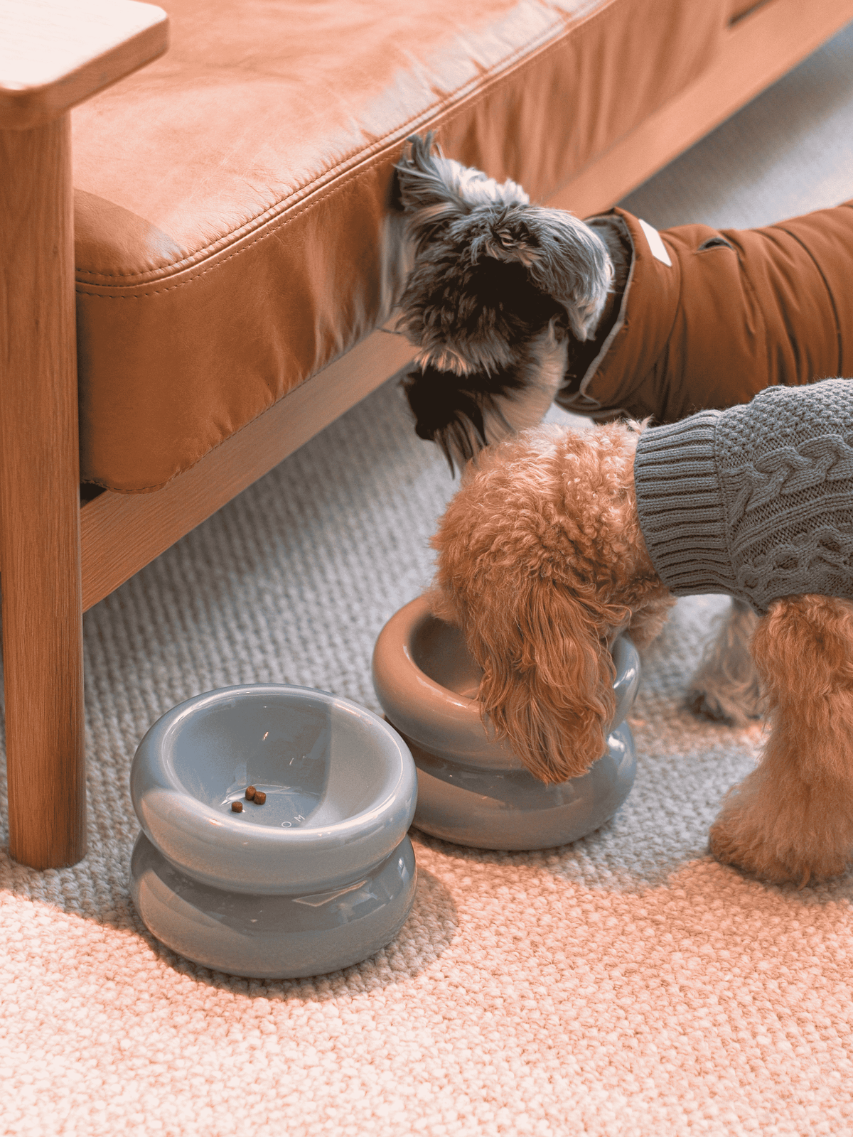 Souffle Pet Bowl-Frozen Blue