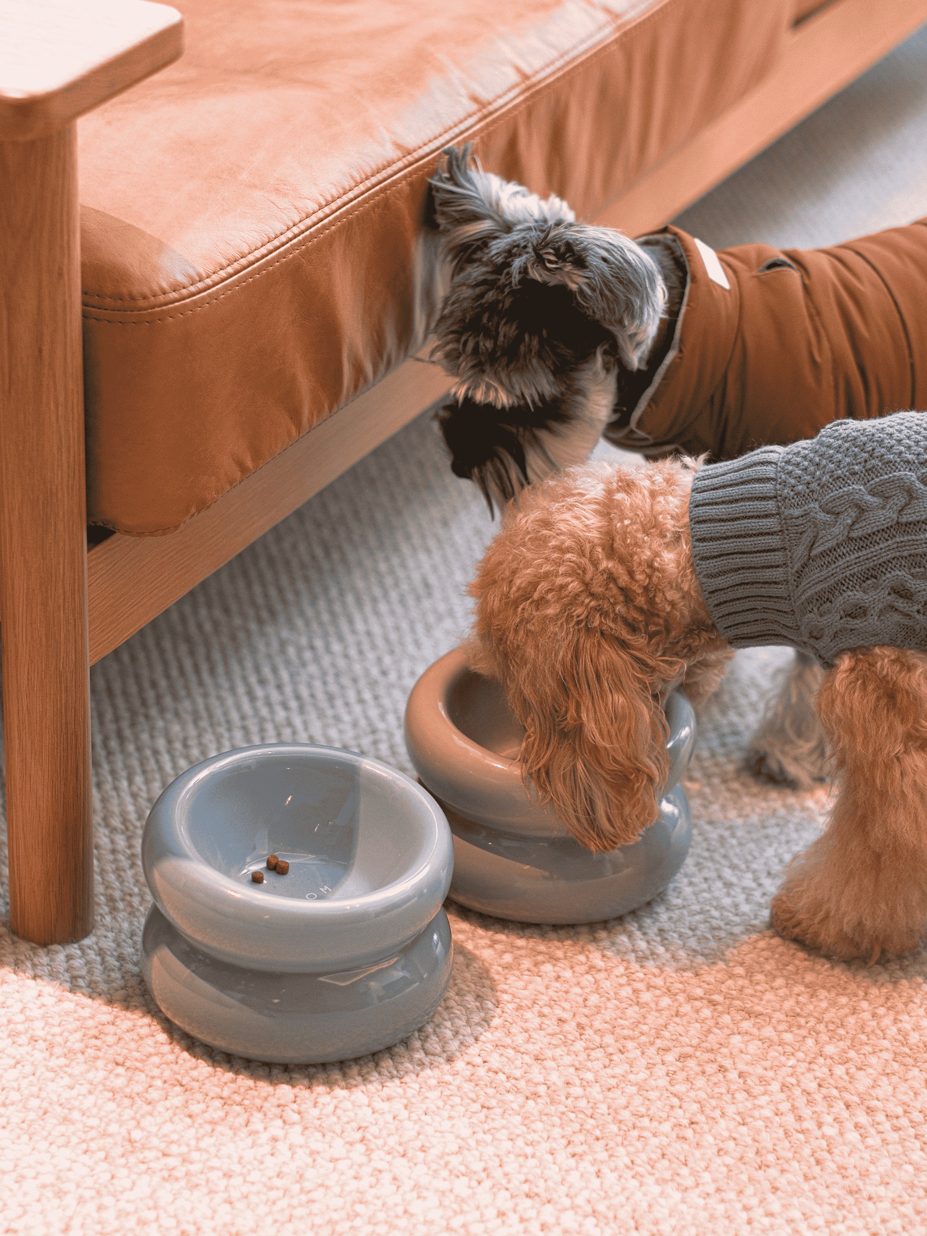 Souffle Pet Bowl-Frozen Blue
