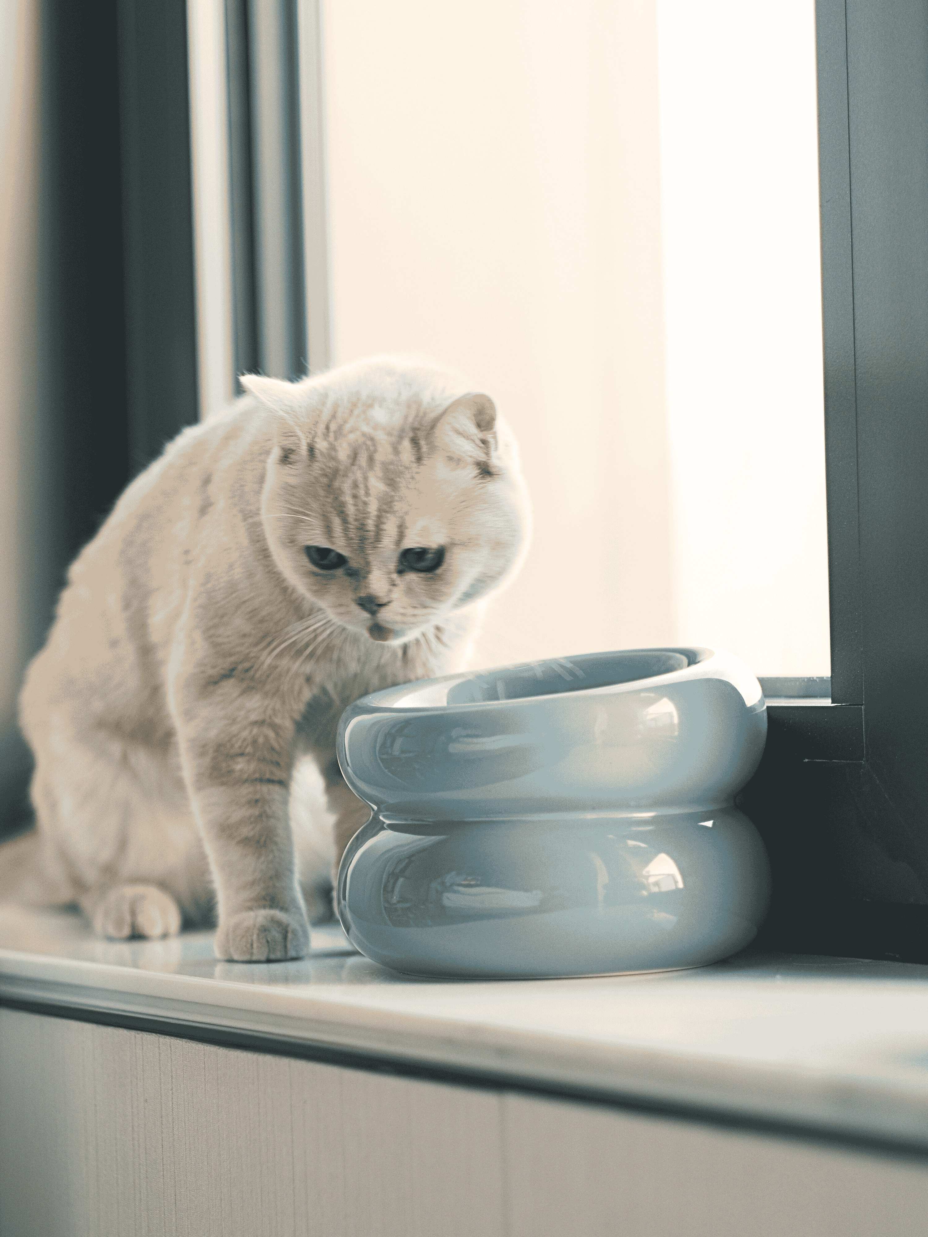 Souffle Pet Bowl-Frozen Blue