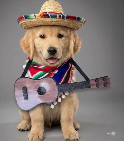 The Dog Margarita Kit