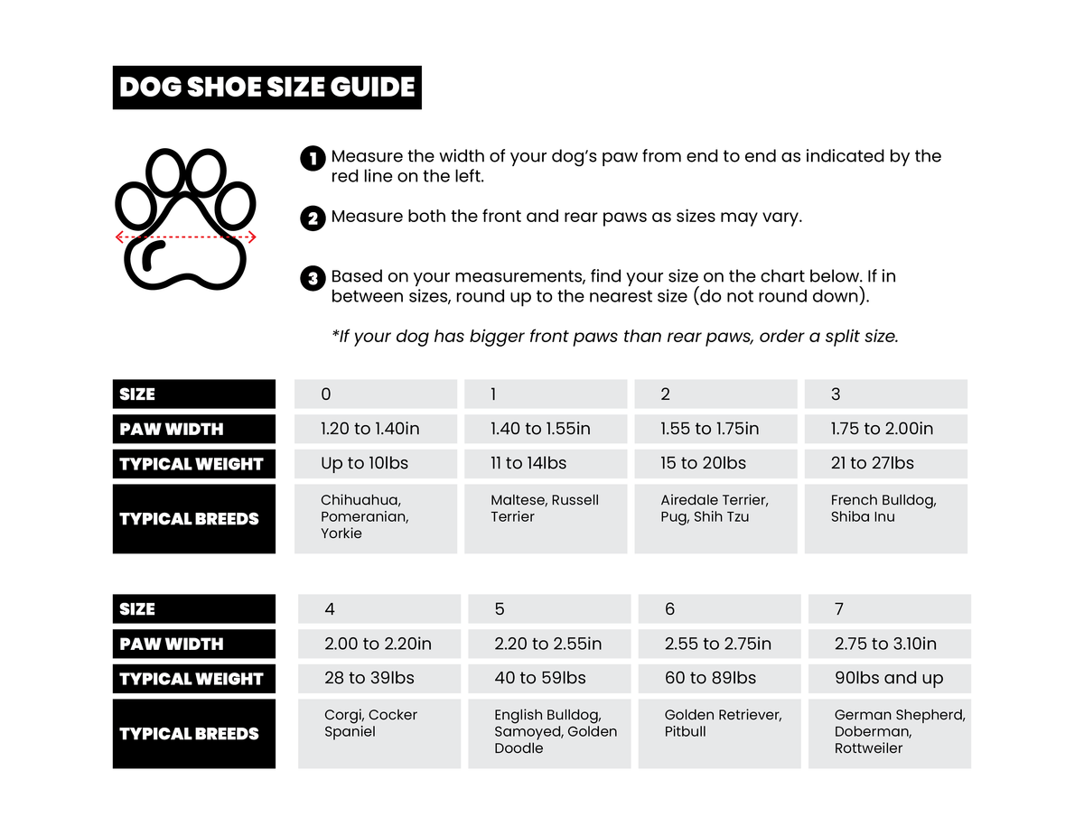 RIFRUF Caesar 2 Dog Sneakers