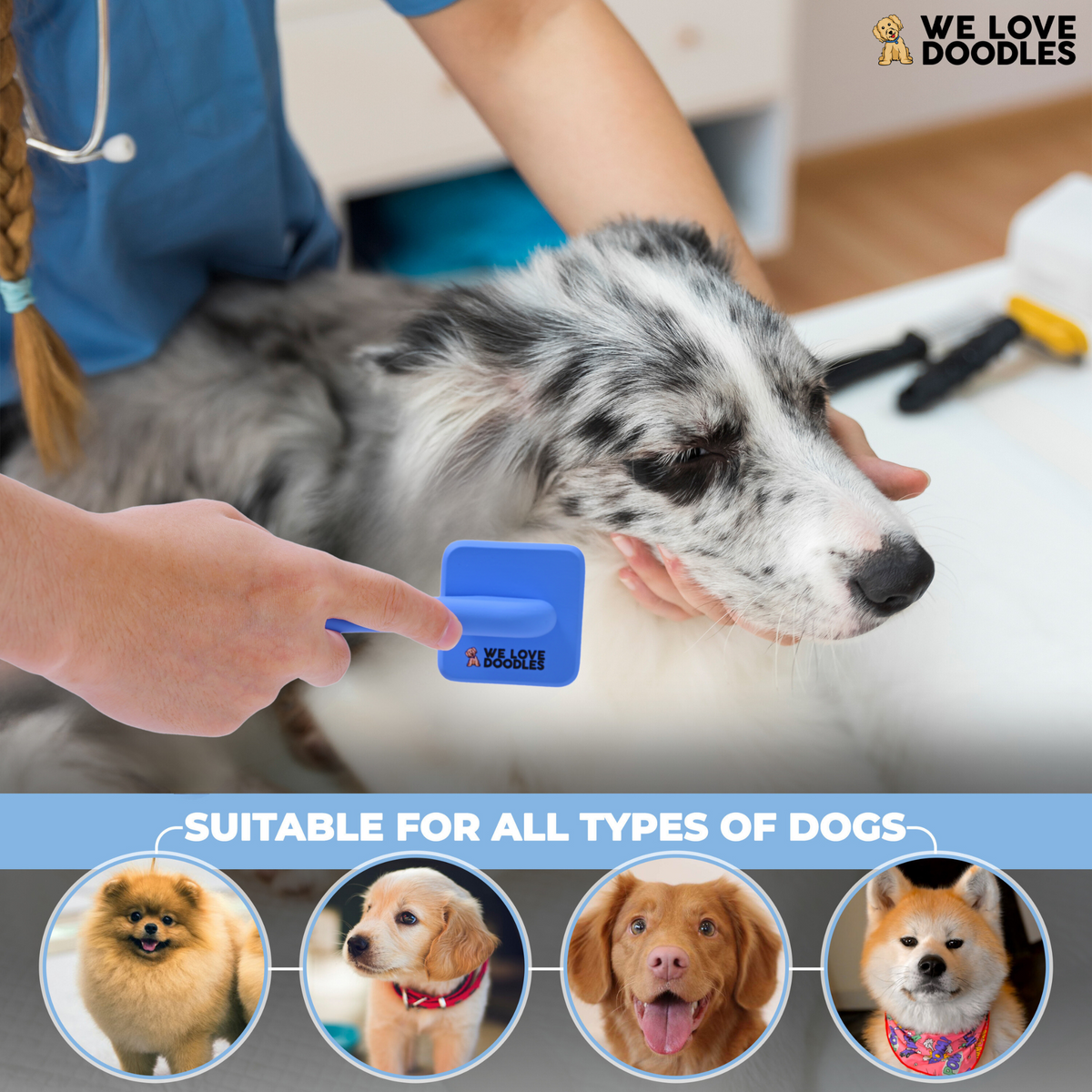 Extra Small Slicker Brush for Dogs