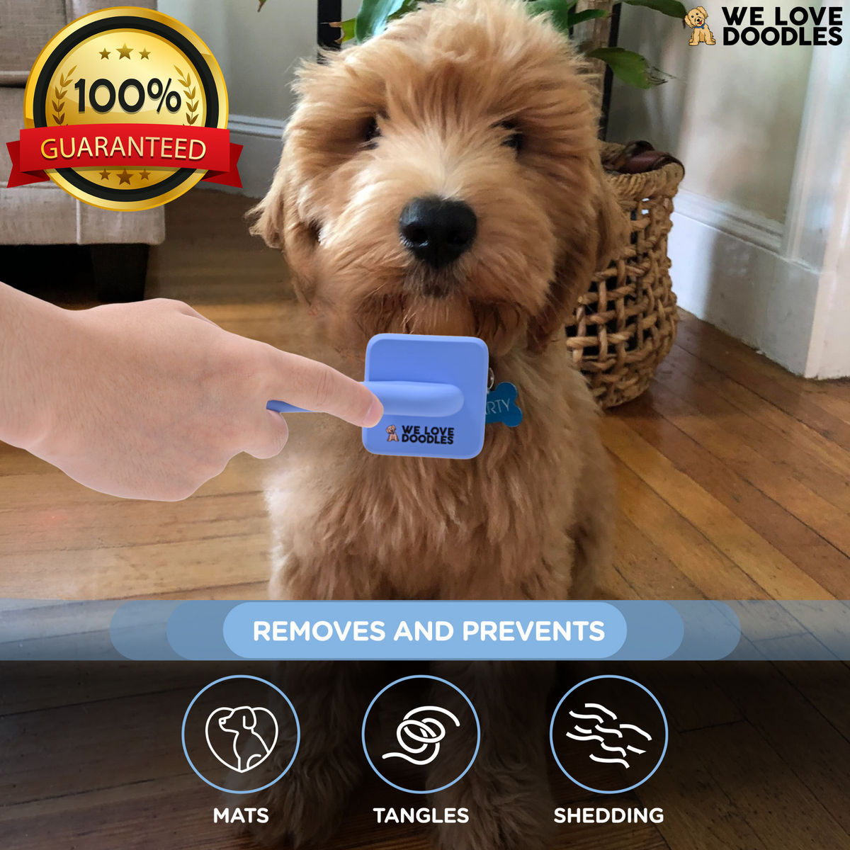 Extra Small Slicker Brush for Dogs